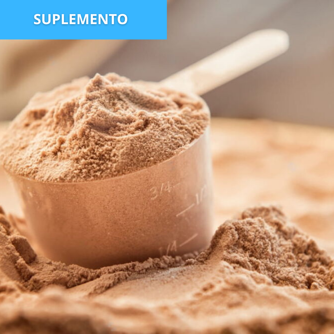Os melhores whey protein de 2025